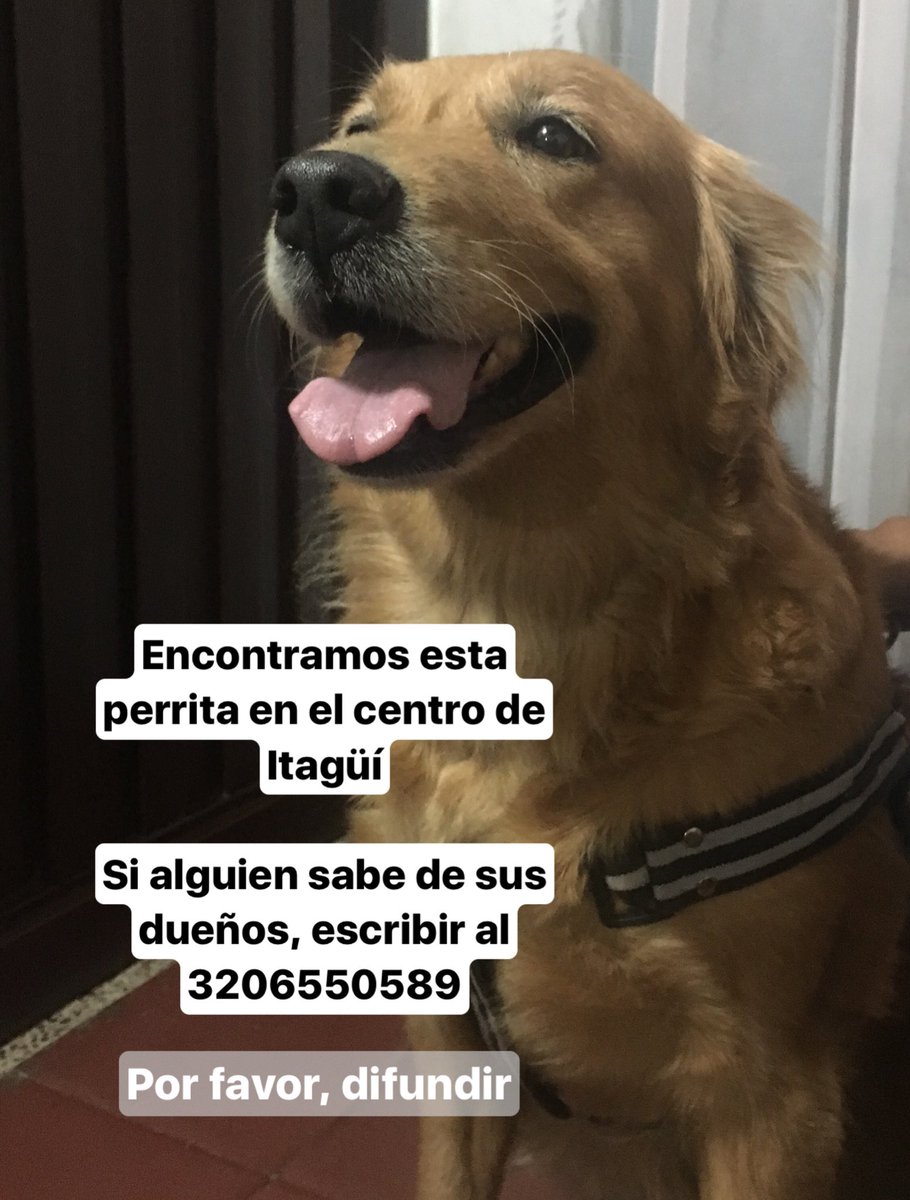 juanpssss's tweet photo. RT por favor 🙏🏼 https://t.co/5Nlqc1xXIg