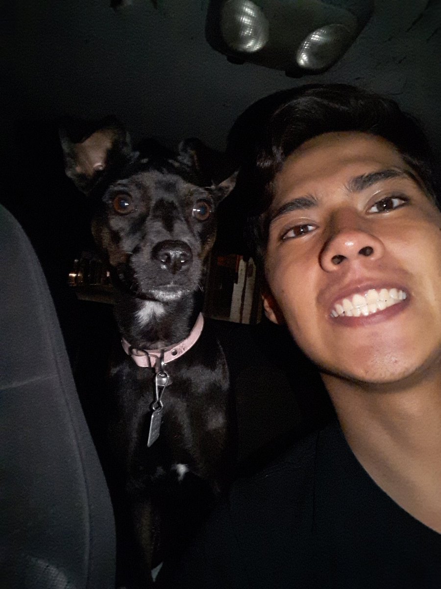 Osvaldo_VH's tweet photo. Quería pasear, y pos saqué la camioneta 🐶
#esanoselaesperaba #LaNicky https://t.co/af38oBDnDU