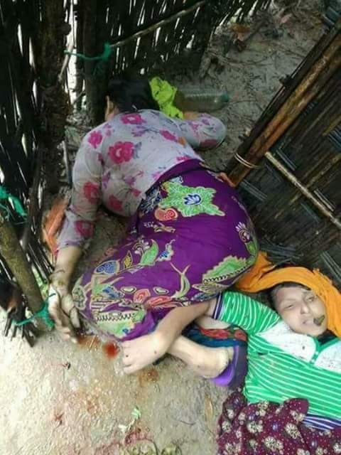 The aborigines Arakaneses are under ethic cleansing by the extremist Bengali terrorists.