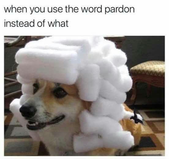 GoodFreshMemes tweet picture