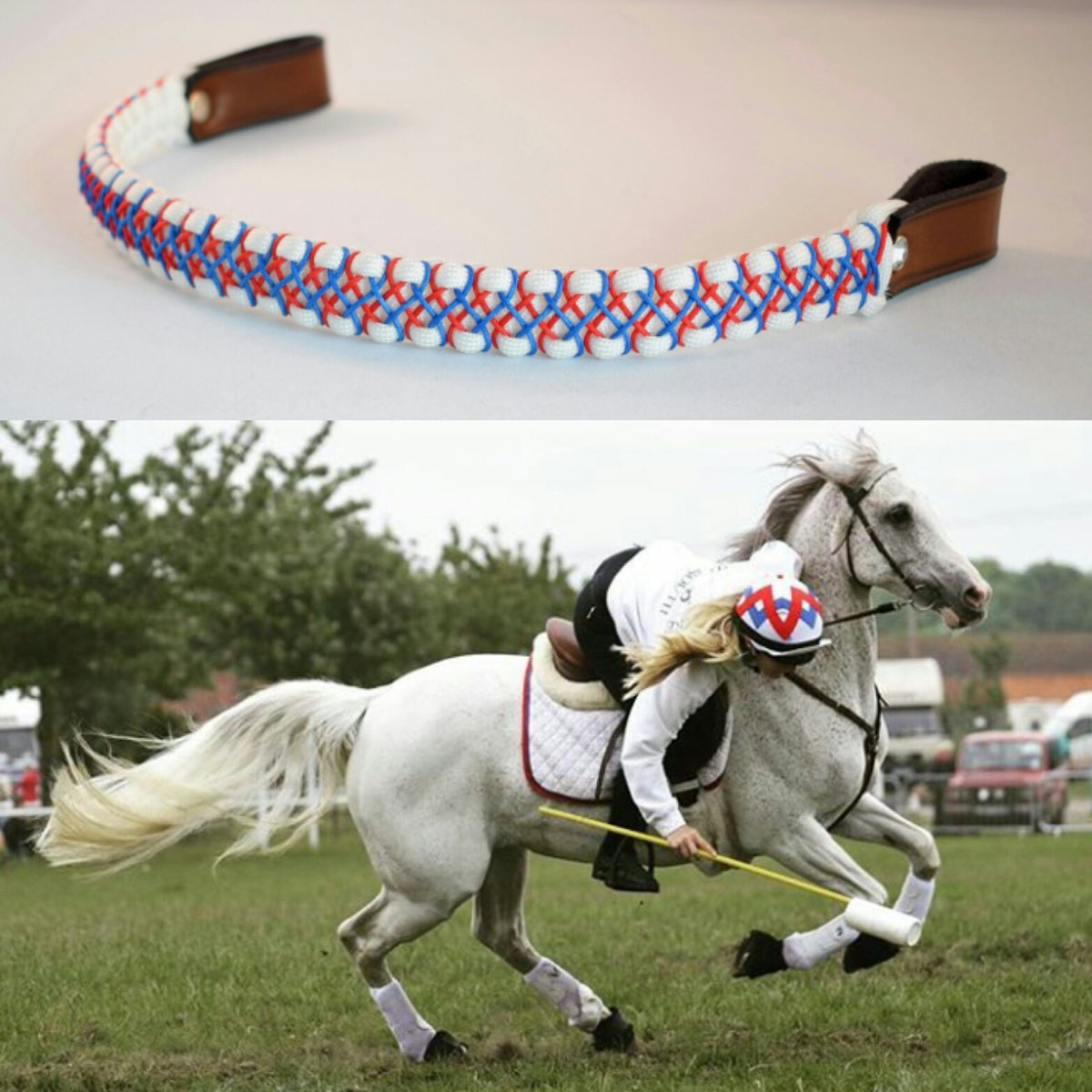 Social Tails Marketing tweet media