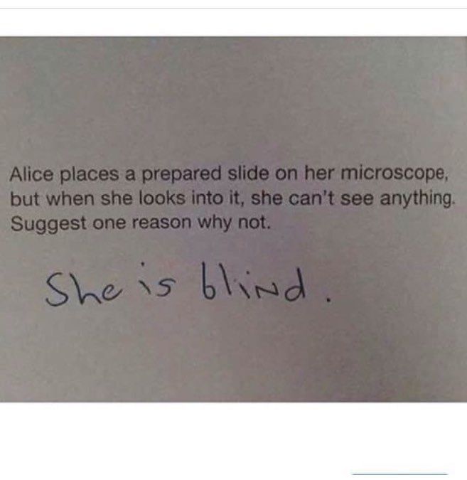 innotrendz's tweet photo. #lolscience #examtroll #badsciencejokes
(via Bad Science Jokes) https://t.co/bnUooToisj