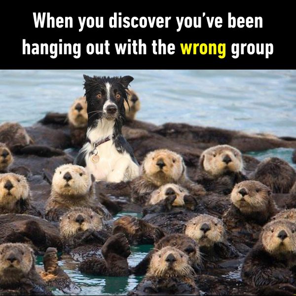 9GAG's tweet photo. They don't speak my language. 
https://t.co/tnnggpuz7B https://t.co/c4yEaFo0DC