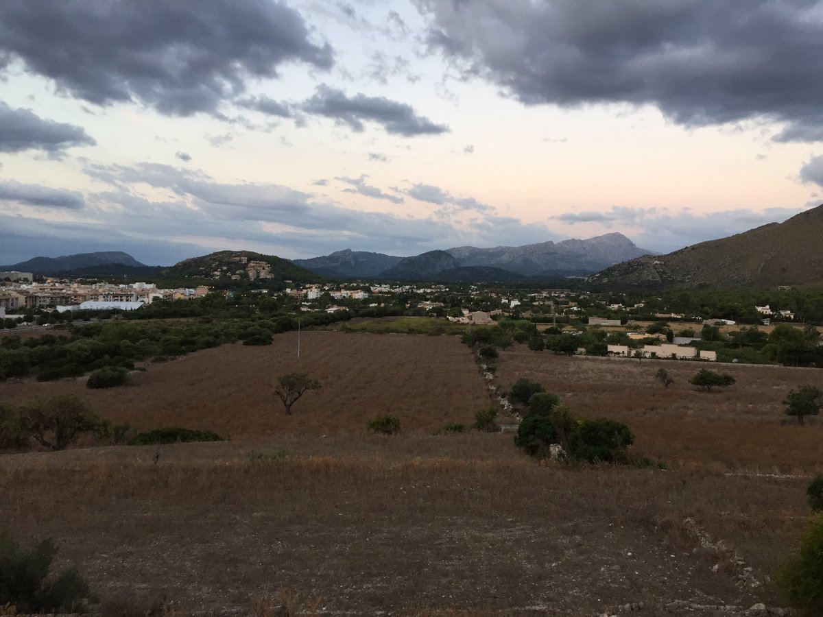 daveliverbirder's tweet photo. First light in the #Boquer with wailing Stone Curlew for company #mallorcabirding https://t.co/WkHOO4CHr2
