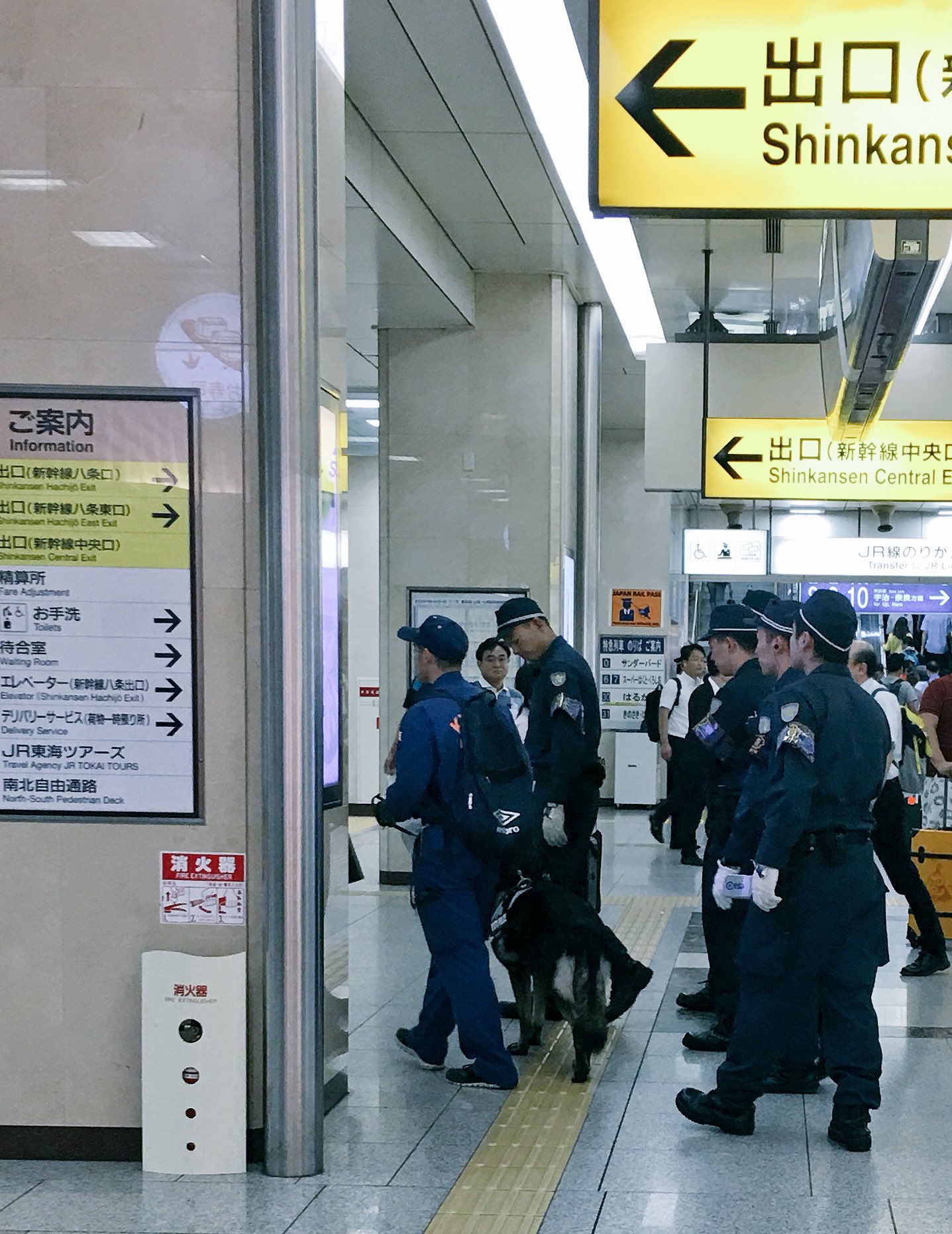 Keiko K ただいま京都駅 新幹線コンコースの乗客よりも多い警察官 私服警官 に何事かと思ったら皇太子が来るんだって すごいよ 警察犬まできてる T Co Eydowhmlvf Twitter