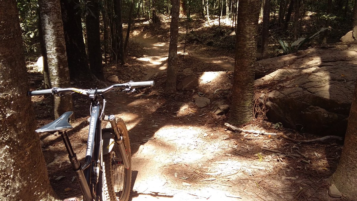 Point1_Athletic's tweet photo. Laps on the @Nuke_Proof #mega275 in some sensational tropical forest! https://t.co/YW1cdRcCBx