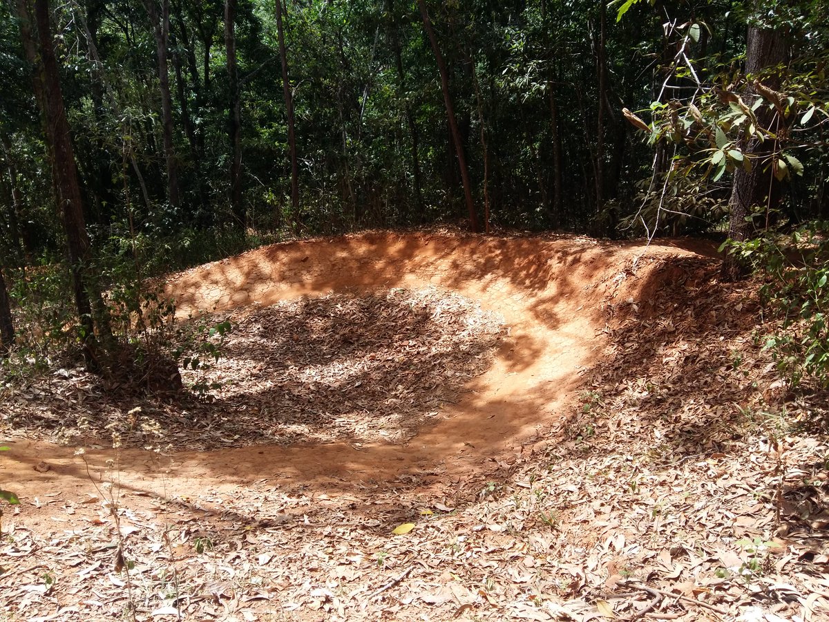 Point1_Athletic's tweet photo. Laps on the @Nuke_Proof #mega275 in some sensational tropical forest! https://t.co/YW1cdRcCBx