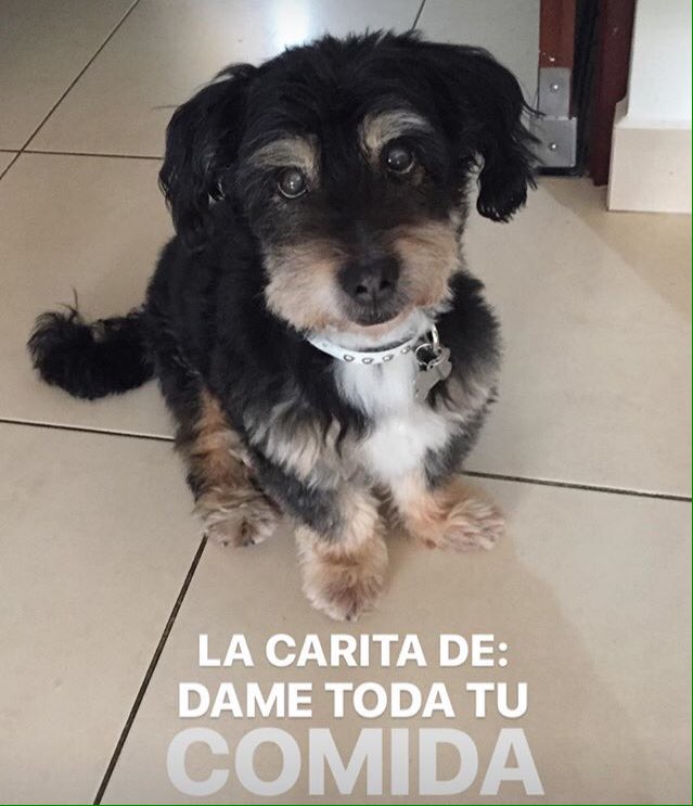 NenaConMacho's tweet photo. @SoyVeritoBi así te imaginé . https://t.co/ZPYVZ4zYgo