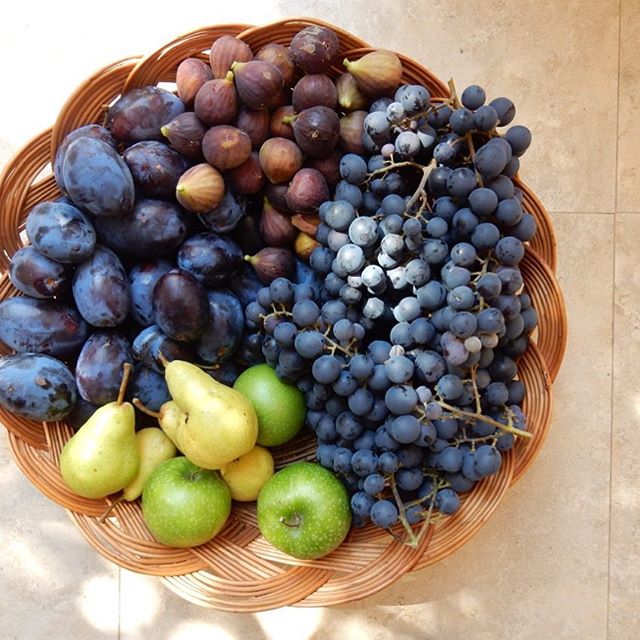 NenaConMacho's tweet photo. @MucamitaAid ví esto y me acordé de tú "organic garden " https://t.co/UHMF6qhKhI
