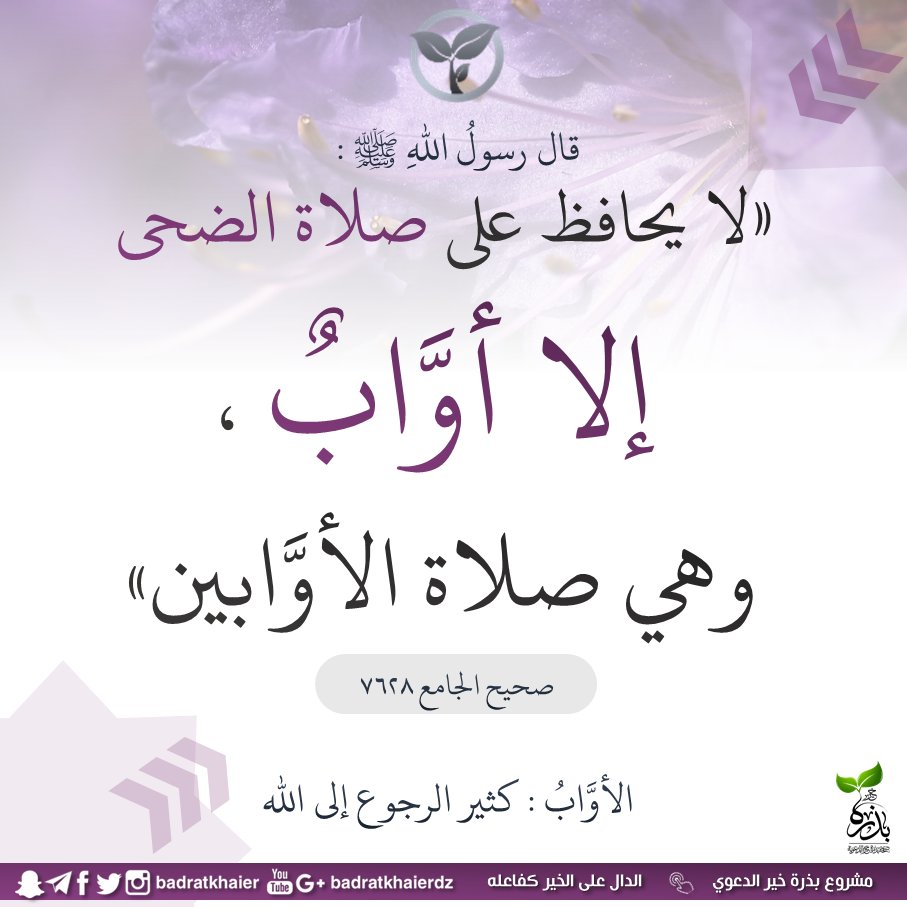 sur8000's tweet photo. 🌹#صلاة_الضحى لا تغفلوا عنها في مثل هذا اليوم العظيم وفقكم الله 🌹 https://t.co/HWhx57JFHG