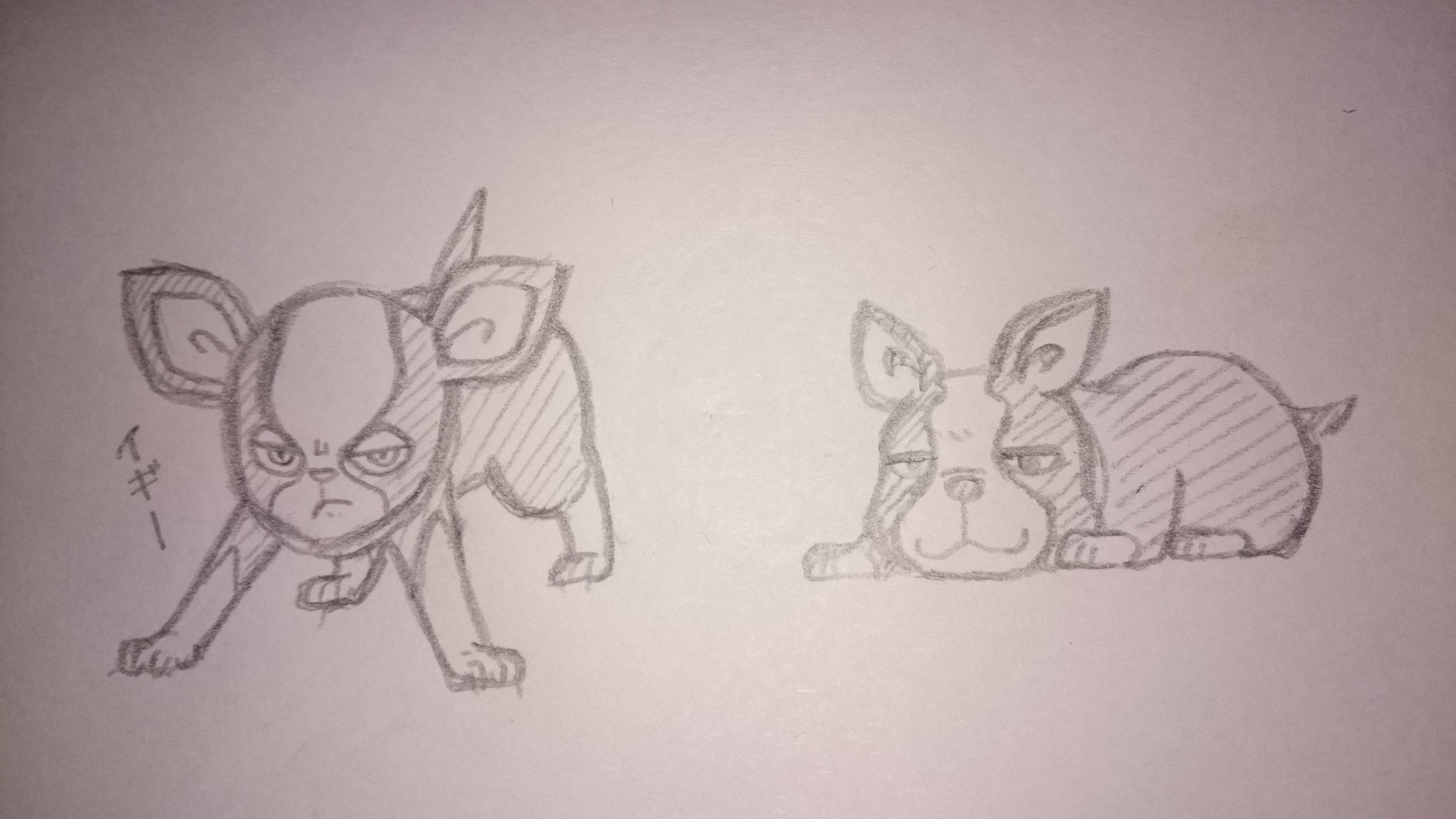 千柚 ちゆ しおさん Enachiot からリクエスト頂きましたジョジョ三部のイギーさん くん です かわいかっこいいのとリアル犬っぽいのがあってどちらかわからなかったので両方描いてみました T Co Ocbdzlbfpy Twitter 千柚 ちゆ しおさん Enachiot からリクエスト頂きましたジョジョ三部のイギーさん くん です かわいかっこいいのとリアル犬っぽいのがあってどちらかわからなかったので両方描いてみました T Co Ocbdzlbfpy Twitter