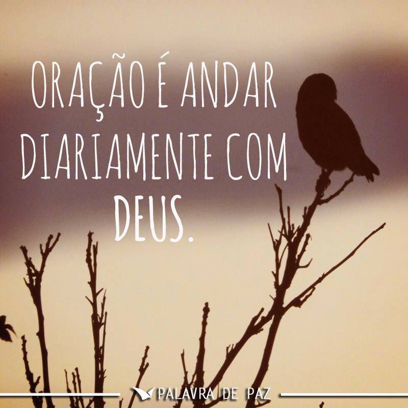 palavradpaz's tweet photo. Bom dia. Já orou hoje? https://t.co/8Mrnw51DcP