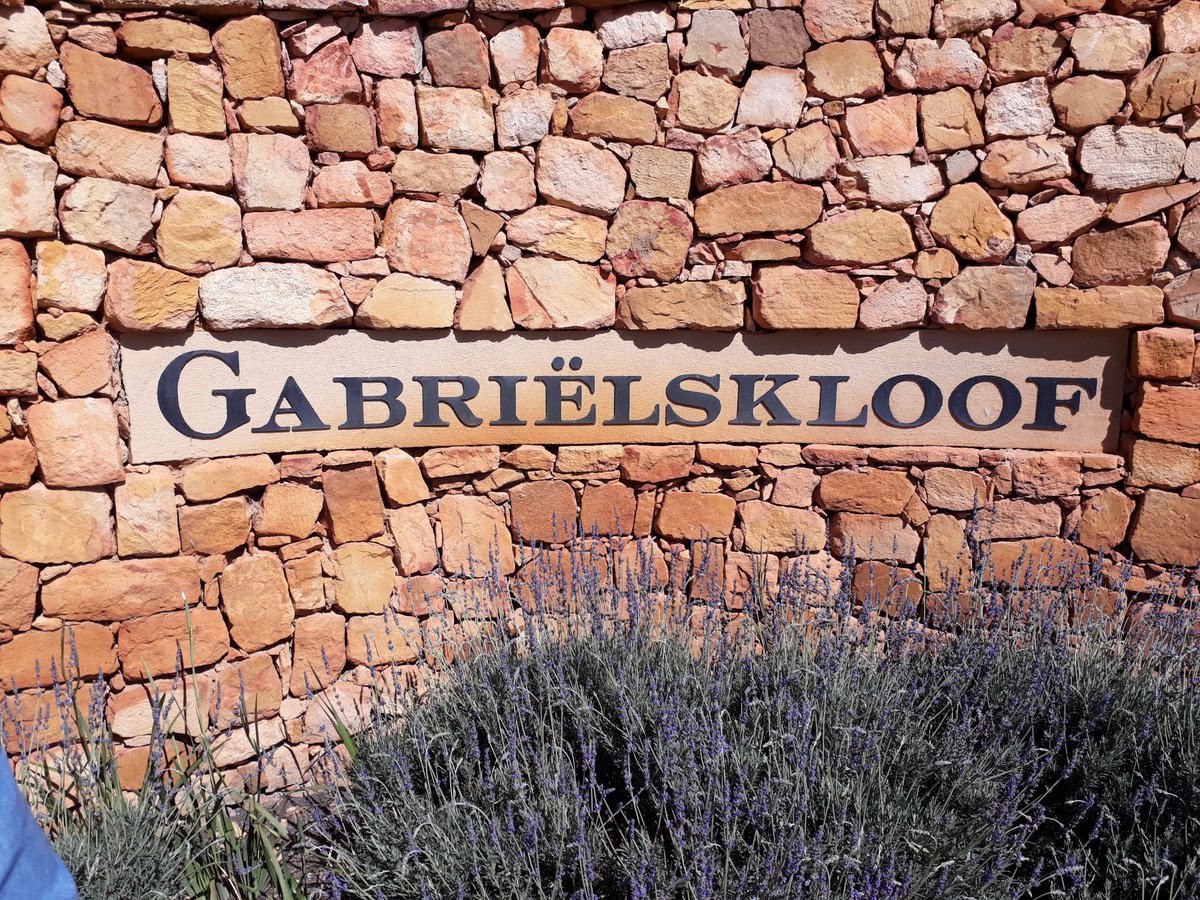 WittyWineWoman's tweet photo. Just arrived at @Gabrielskloof for @BotRiverWines 🌸 🍷 #BotSpring2017 https://t.co/PaOdEkzvNd