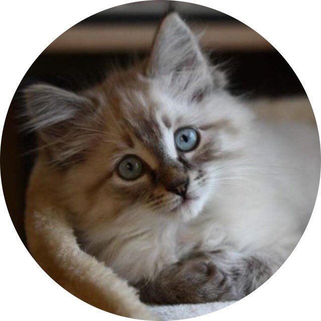 === FIGHT #365 ===

RT pour BlueReal
LIKE pour Sytma19