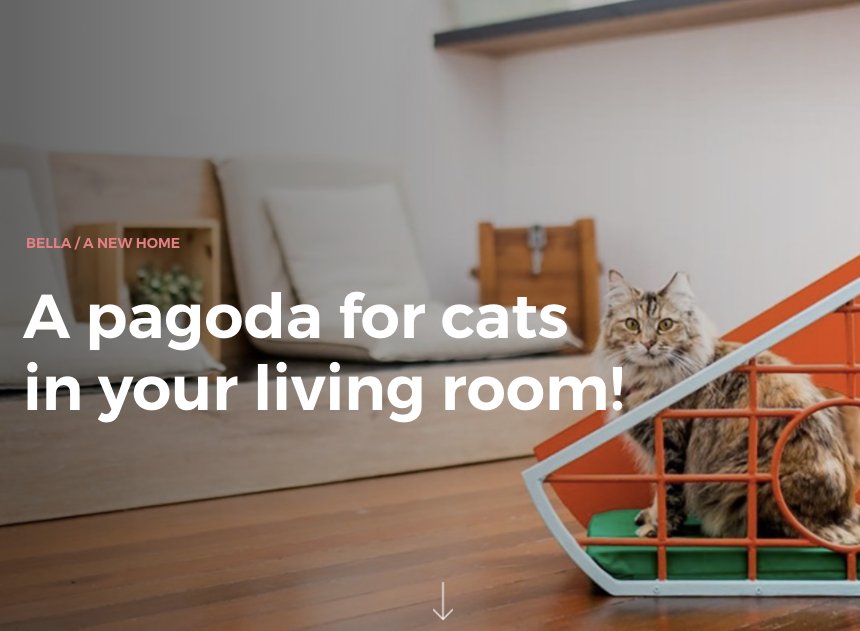 lovethesign's tweet photo. A pagoda for cats in your living room! > https://t.co/xOqX15fFn0 < #pianoprimo #bestof #bella #pets #cats #homedecor https://t.co/BlvjqFORrb