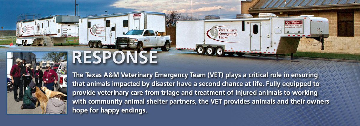 dynamicpetduo's tweet photo. Check out the large vehicles that @TAMU is bringing to help #searchandrescue #dogs and injured animals from  #hurricaneharvey https://t.co/bfAuUiqh10