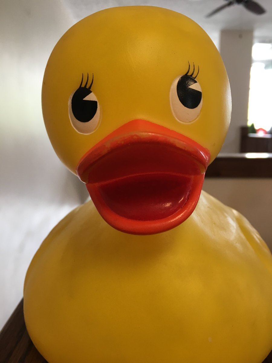 Get your Duck Race tickets at our Farmers Market today from 8am til noon!