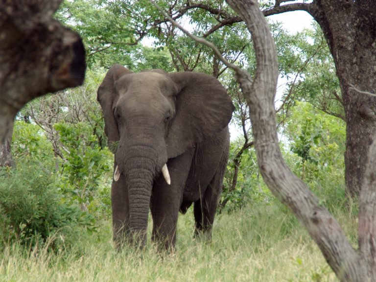 TravelingLena's tweet photo. Die besten Family-Lodges in Afrika https://t.co/vX7WRIMSly https://t.co/l5xC8LF561