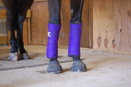 _TheBackman's tweet image. What You Need to Know About Equine Leg Bandaging buff.ly/2vRc0Yt