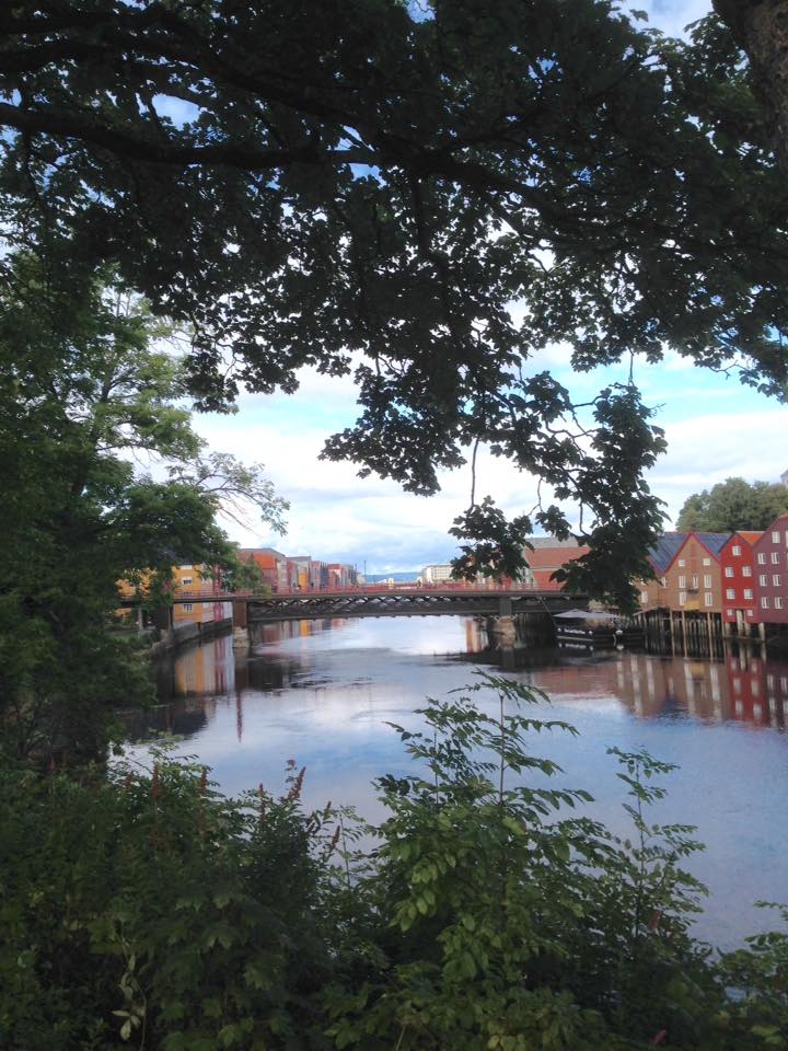 olavspad1's tweet photo. spits van de kathedraal werpen, onder een blauwe lucht. Na de laatste kilometers door de stad en de feestelijke aankomst, haalden we https://t.co/thg12uKjwl