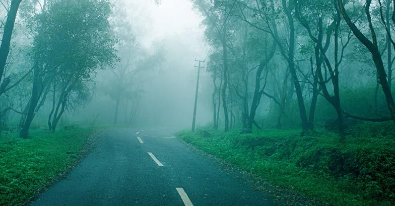 SimranHoliday3's tweet photo. #Ponmudi #GoldenValley #IncredibleIndia🇮🇳 #SimranHolidays https://t.co/fefAxVFeEJ