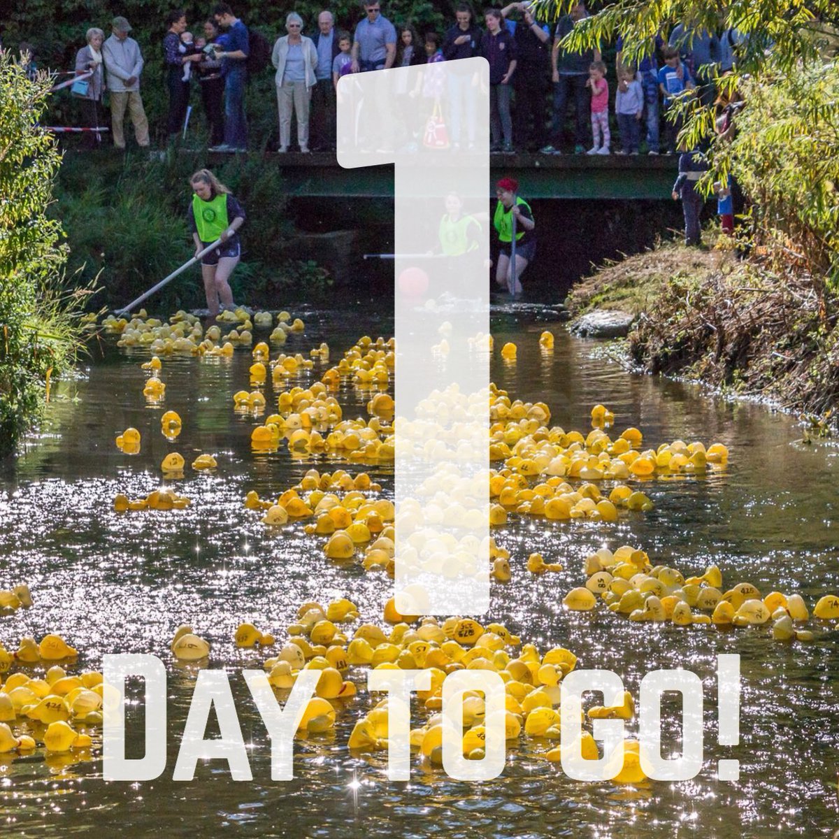 RotaryDuckRaces's tweet photo. Join us in #Ponteland Park tomorrow from 12.30 duck races, homemade boat races, pony rides, bouncy slide, great food &amp; more! #Northumberland https://t.co/rwVUorFalh