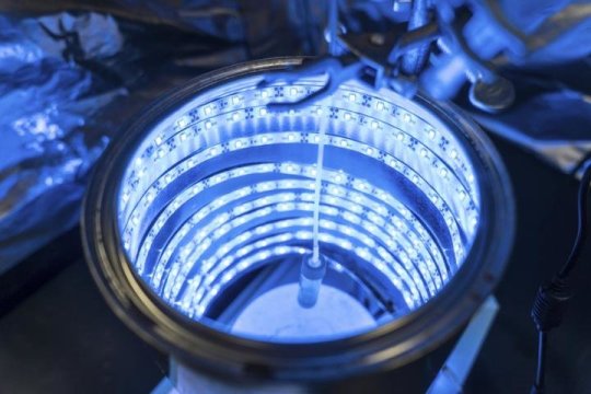 NanoOrbitNews's tweet photo. Scientists report the synthesis of a macroscopic aerogel from carbonitride #nanomaterials https://t.co/0rhGTDKyzs https://t.co/wli17gbszh