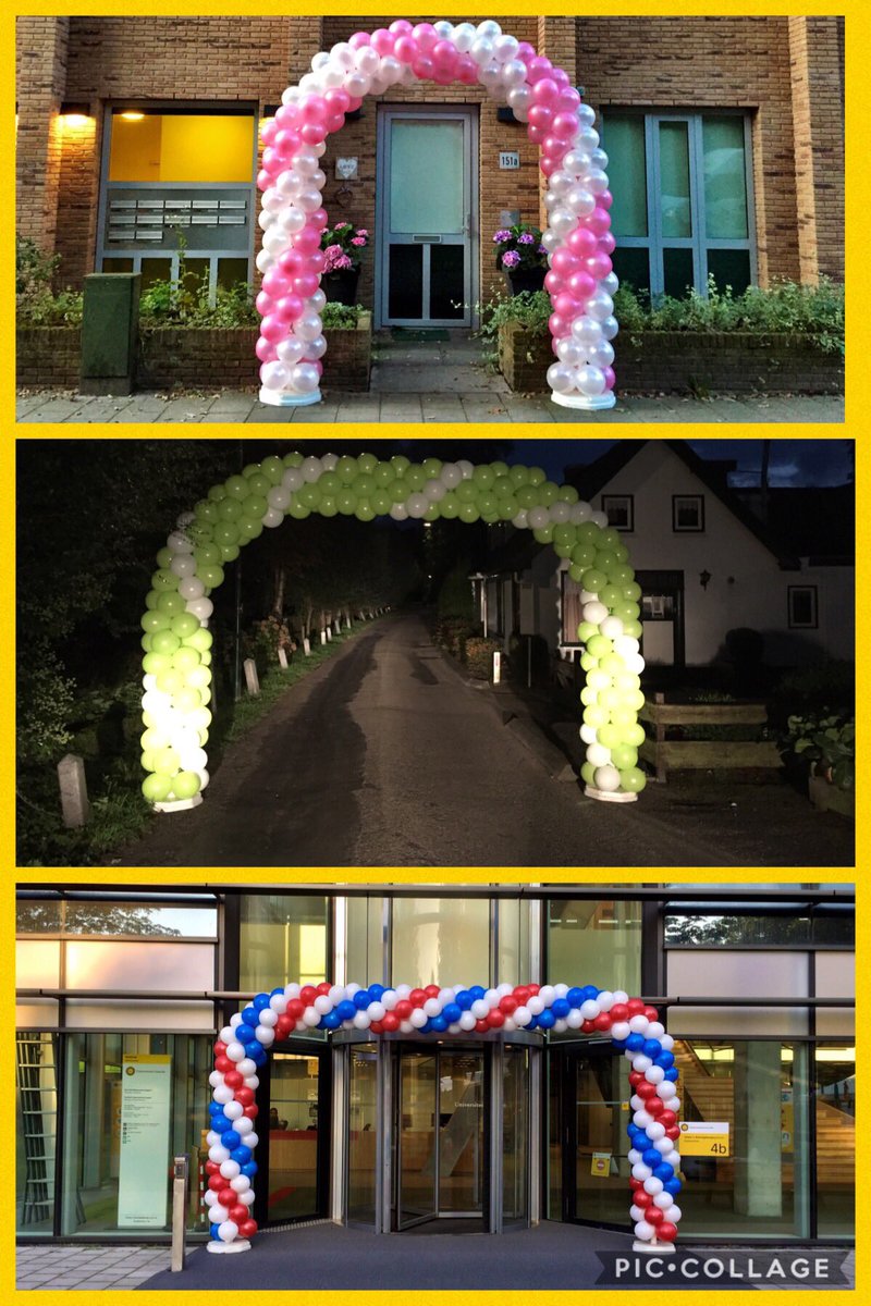 Blaasvaak's tweet photo. Ballonbogen voor een #bruiloft voor de #universiteit #utrecht en het #nkpalingroken #paling https://t.co/dAdyyZ82kd