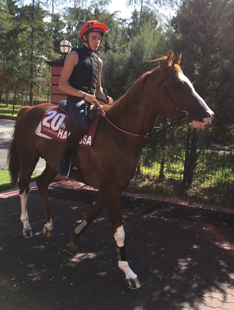 deborahburt1's tweet photo. 🍀🏆🐎#Handassa @RohautRacing #ShadwellArabians #Instanbul #today#Group2PA @aladiyatuae 📷by @MaxPimlott23 @Intracingbureau https://t.co/cl9KPAUAU2