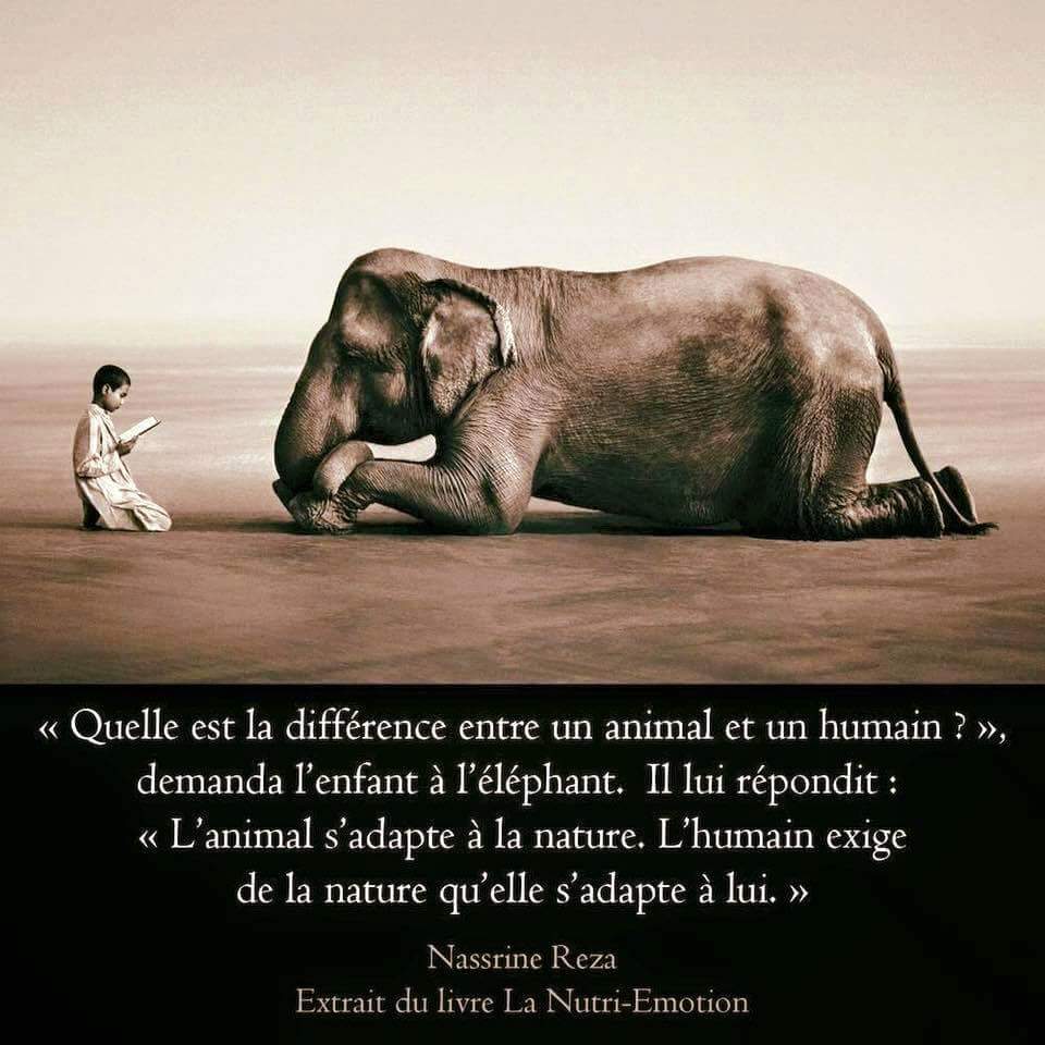 [59] Citation Week End Entre Amis QuoteFamous