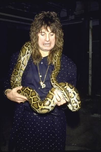 @Therockmemories <a href="/Glory2Rock/">🤘🏻Christopher Lee🎸👱🏻‍♂️🤘🏻</a> <a href="/Captainsnake/">MICK🐍</a> <a href="/patcrawford500/">look at you sir</a> @johnrobb_1968 @carguy372 <a href="/maidenengland66/">🤘maiden🤘</a> <a href="/leeguerrero0719/">Lee Guerrero</a> <a href="/DeeDee0ne/">DeeDee Coleman 🇺🇸</a> 🤘🎶🎤