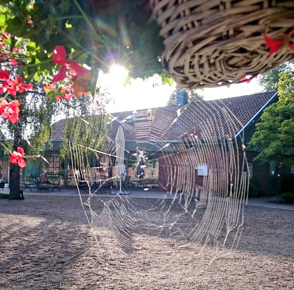 ghgoldig1's tweet image. Herbstmorgen #mitnetz