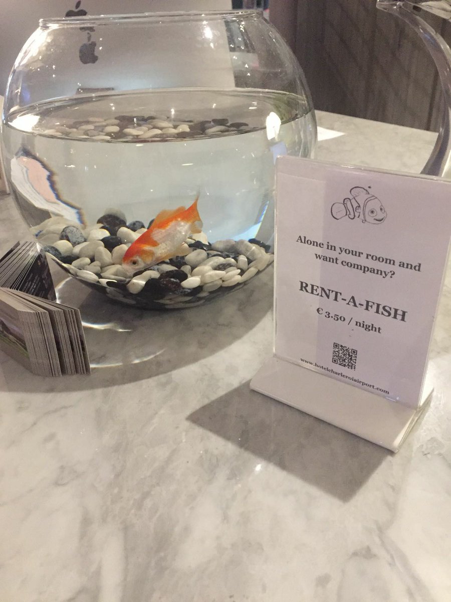 My friend is staying in a hotel in Belgium. They've offered her the option of renting a fish for the night, in case she's lonely. #noshit