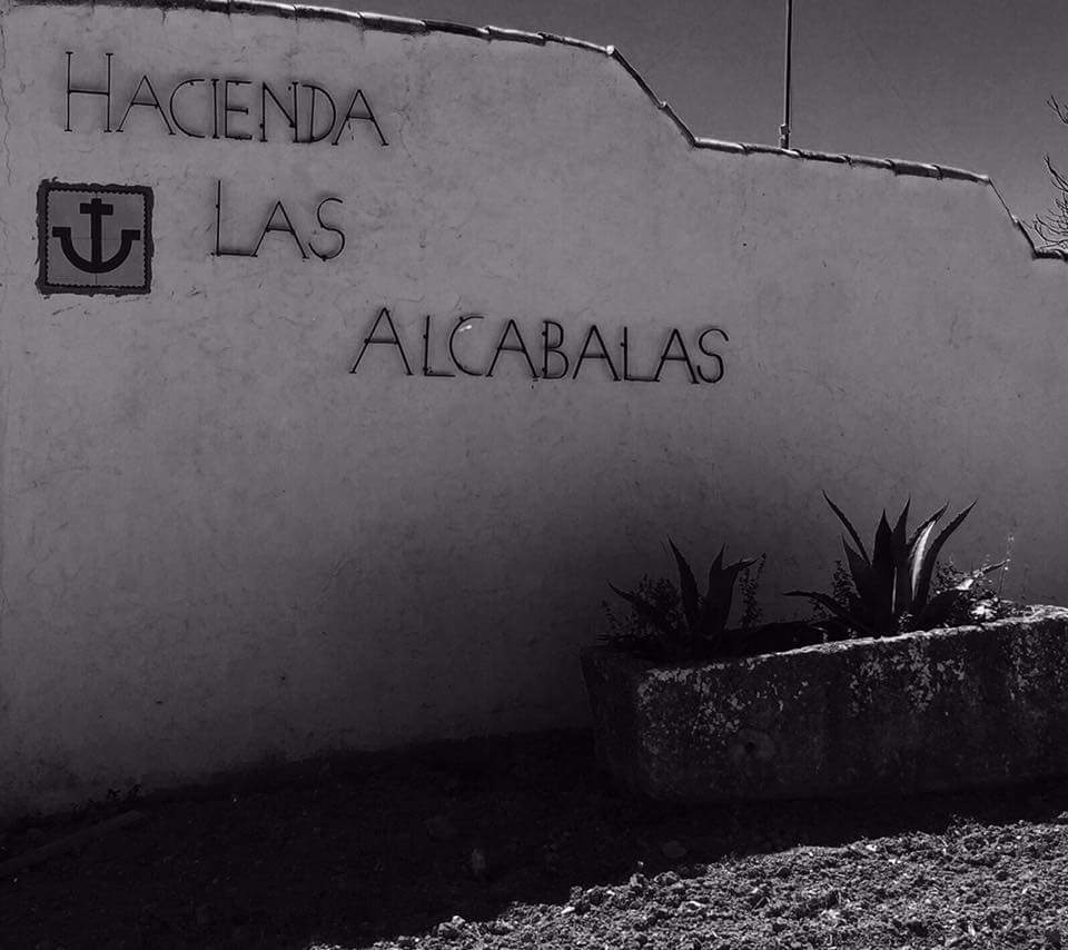 DavidGu75612893's tweet photo. Tus vacaciones Ecuestres en Hacienda las Alcabalas &amp; Caballos En Armonía https://t.co/XJOvhZO4Hm