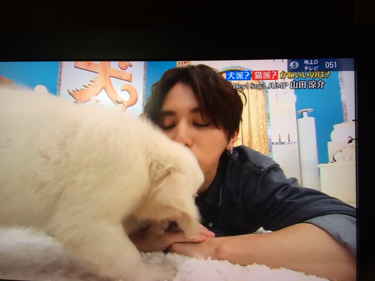 温泉湯豆腐miyuki 犬派 猫派 山田涼介 山田君の実家は動物園 何かの力 温泉湯豆腐miyuki 犬派 猫派 山田涼介 山田君の実家は動物園 何かの力
