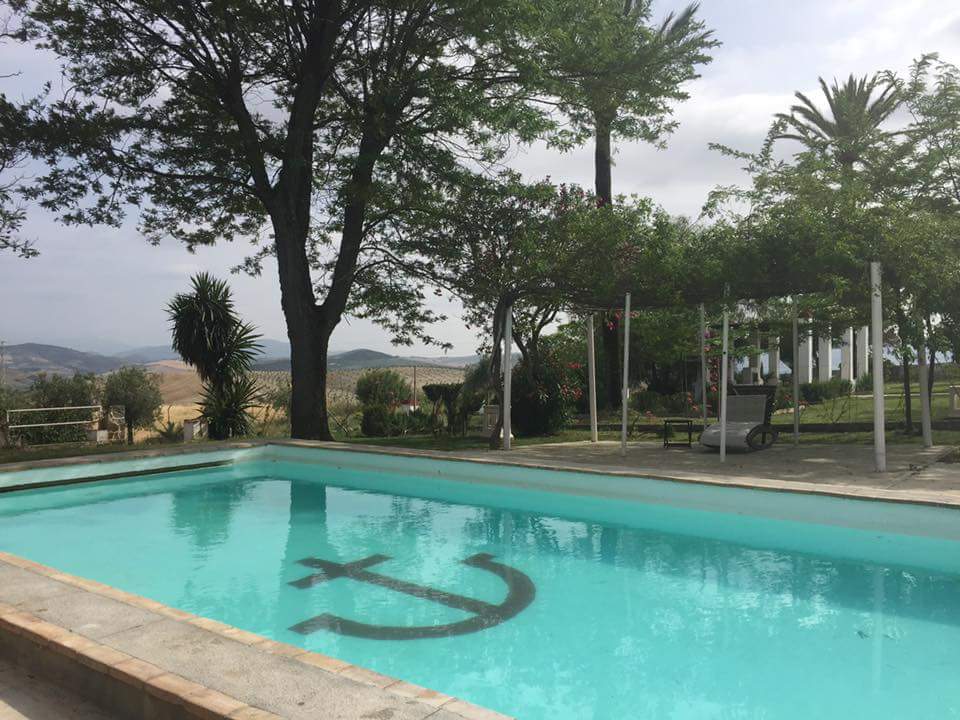 DavidGu75612893's tweet photo. Tus vacaciones Ecuestres en Hacienda las Alcabalas &amp; Caballos En Armonía https://t.co/XJOvhZO4Hm