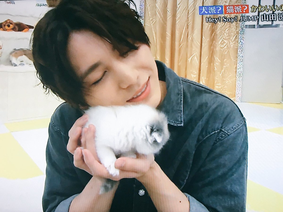 M A F O 志村どうぶつ園に山田くん 相葉 山ちゃんのファンはきっとこの犬になりたいって思ってるね 相葉ちゃん大正解です 伊野ちゃんも安定の可愛さと面白さ 山田涼介 伊野尾慧 志村どうぶつ園