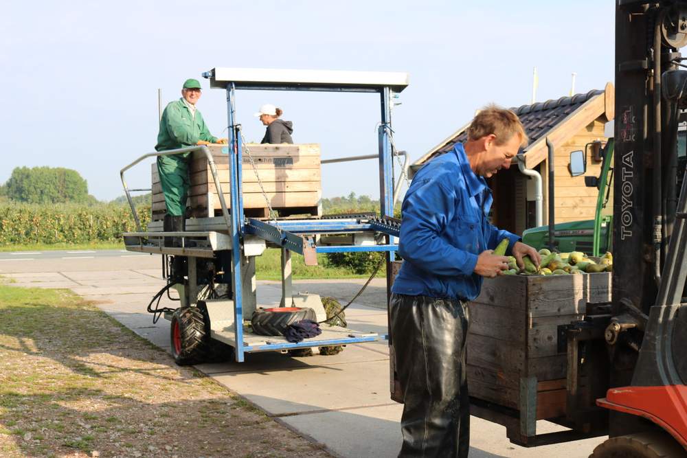 bloeseminfo's tweet photo. De oogst is weer begonnen! Al een verse appel of peer geproefd? @bloeiendmerm blogt over de eerste plukdagen > https://t.co/VUOXnXxZUM https://t.co/YRkq68cXiA