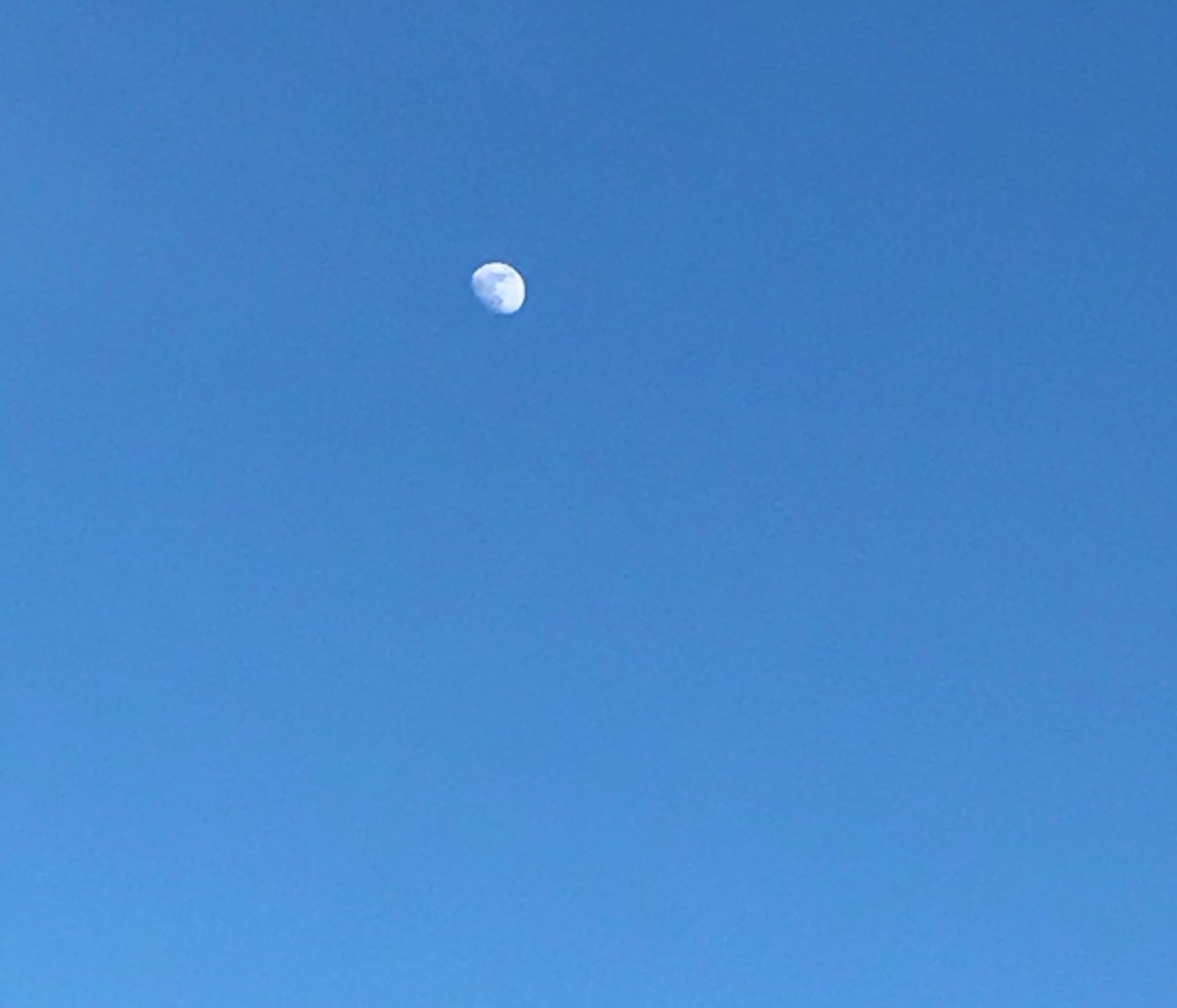 nchdaq's tweet photo. 🌕🌹 https://t.co/RhGLVWkFHt
