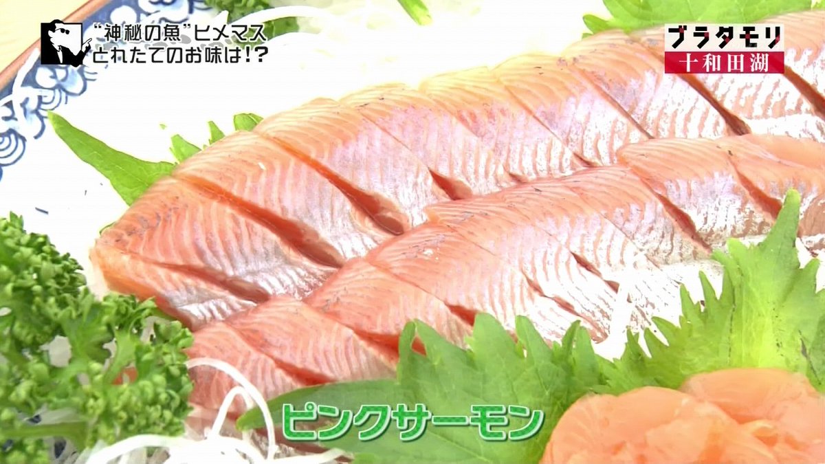 ブラタモリ 実は 神秘の湖 十和田湖は世にも珍しい 二重カルデラ湖 3ページ目 Togetter ブラタモリ 実は 神秘の湖 十和田湖は世にも珍しい 二重カルデラ湖 3ページ目 Togetter