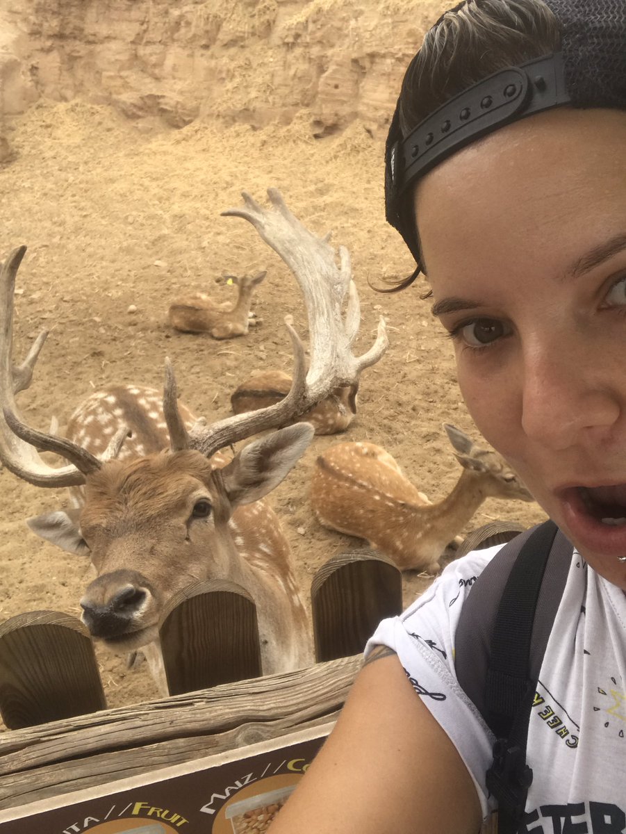 MSanchez_89's tweet photo. 😍😂 #elmejorselfie #terranatura https://t.co/Beo5EEeJFD