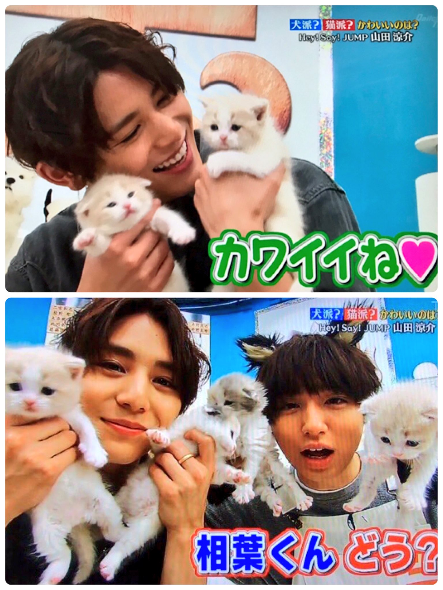 Twitter 上的 𝑀 最高でした 山田涼介 伊野尾慧 相葉雅紀 Heysayjump 志村どうぶつ園https T Co L0h5s6ox37 Twitter