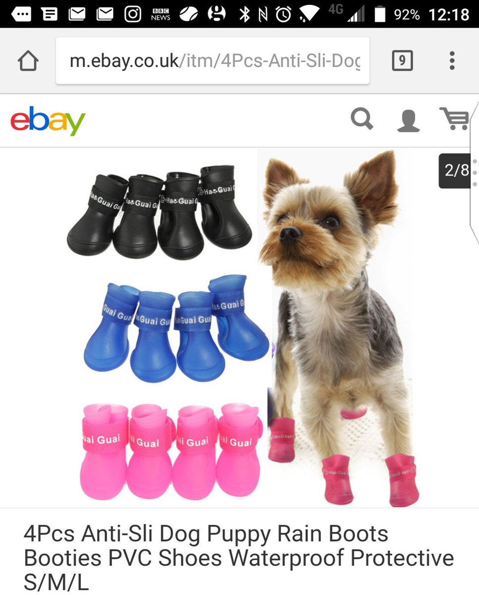puppy wellies