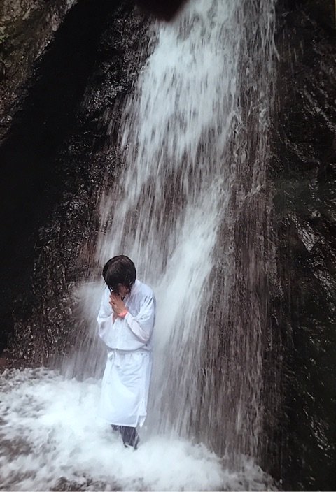 View image on Twitter