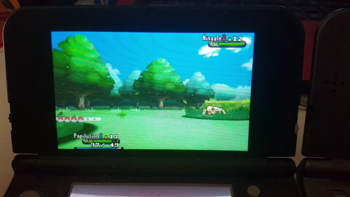 SHS0RA's tweet photo. Shiny ningale sur le SQ Y en 3924 RE's #KroMatik #ToolsResort https://t.co/WNWjslDmk1