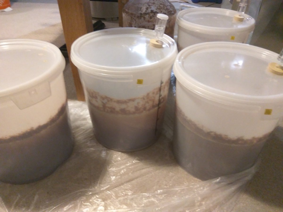 Got 80L of a #BelgianTripel and 21L of an experimental #IPA fermenting. #homebrewing