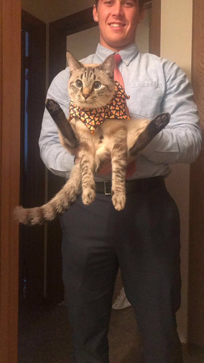 EverestTheCat's tweet photo. Blue fudge slaps! #kitty #cat #catdad #bluefudge https://t.co/M2OZdLb7nv