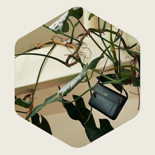 knomiapp's tweet photo. Still feeling some tropical vibes with this @smythson shoulder bag. #gettoknomi #shoplocal https://t.co/X7NrQs58Rp