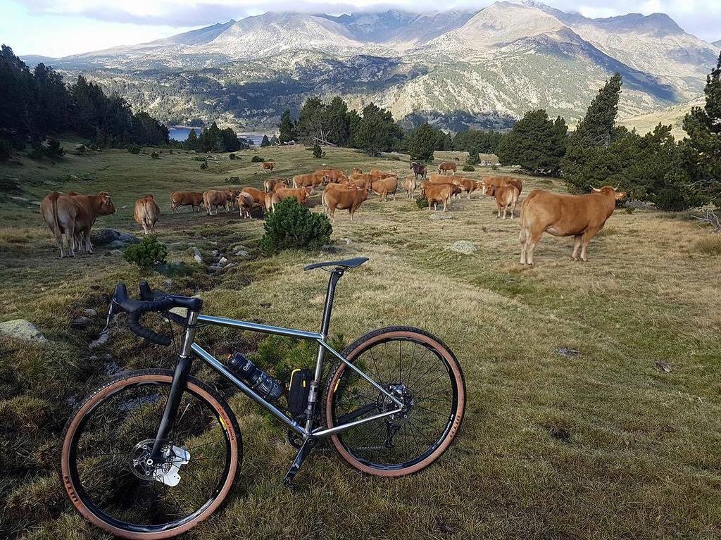 caminadebikes's tweet photo. #ramade #pyreneesorientales #caminadebikes #wtb #gravel #allroad #bike #ramade #pyreneesorientales #caminadebikes … https://t.co/CJrWr2F86x https://t.co/2gqKFMhcQj