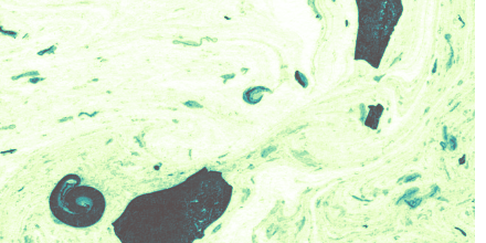 MarbleBotDaily's tweet photo. Spring Green marble https://t.co/0CCcqEJq0I